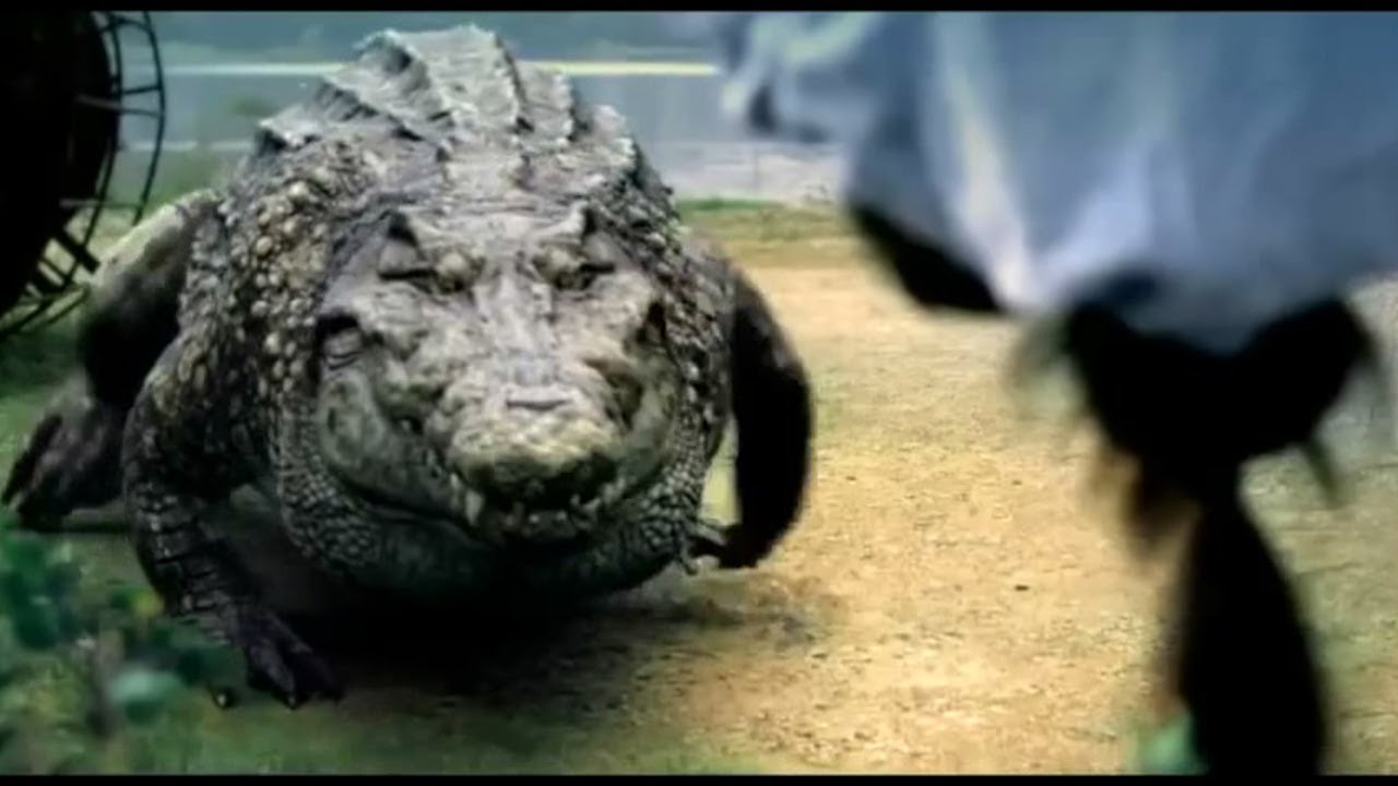 ⁣The Million Dollar Crocodile Official Trailer #1 (2012)