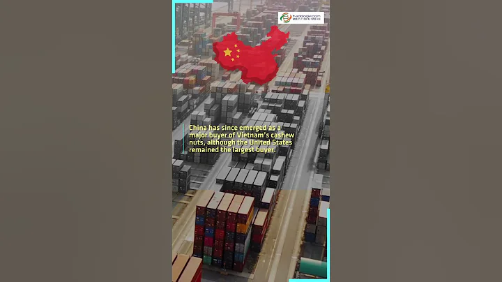 Cashew Exports From Vietnam Surpass 3.31 Billion USD In Eleven Months