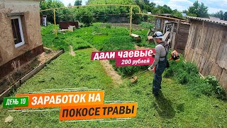 День 10 | Мне дали чаевые 200 рублей. Заработок в деревне на покосе травы триммером.