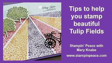 Stamp beautiful Tulip Fields