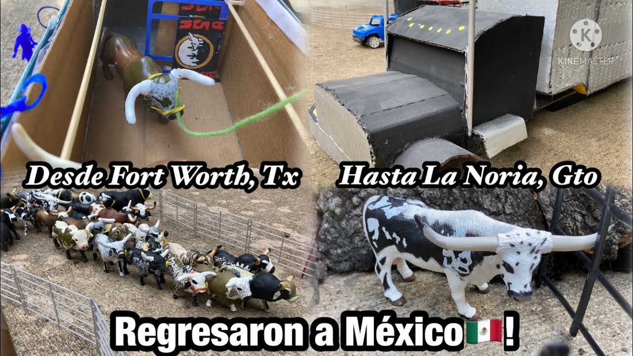 Regresaron a México! Llegaron los toros de la Gira USA 2021 a Mexico! Nuevos toros!