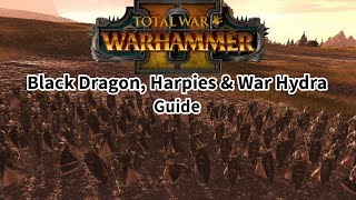Dark Elf Unit Guide - Black Dragon, War Hydra & Harpies - Warhammer 2 Total War - Review