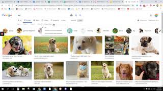 Google Image search Creative Commons