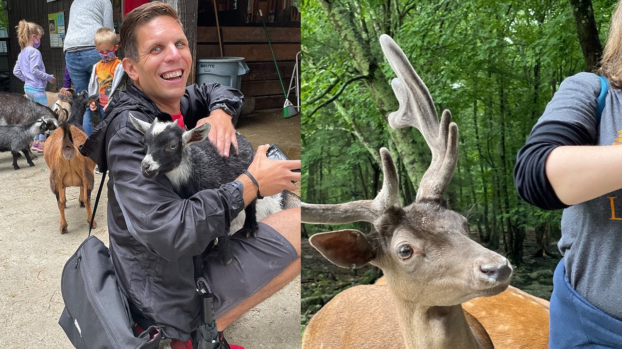 Southwick's Zoo (2021)