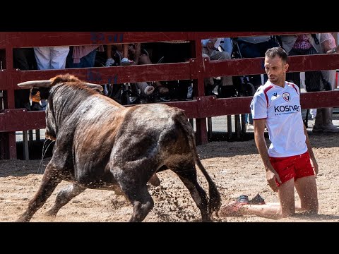 Cocurso de Recortadores con TOROS  - Tudela 2017