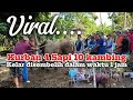 Viral... Sembelih Kurban 4 sapi 10 kambing selesai dalam 1 jam