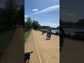 📍beautiful London city Richmond park🇬🇧