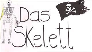 Erklärvideo - Das Skelett