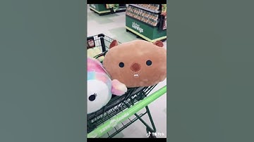 UH…KELLYTOY? EXPLAIN THIS!! #squishmallows #ugly