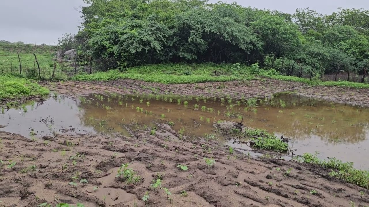 As águas em  02-03-26