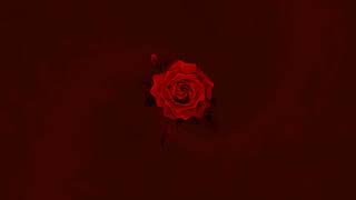 [FREE] Andry The Hitmaker X Giaime Type Beat "Rose"
