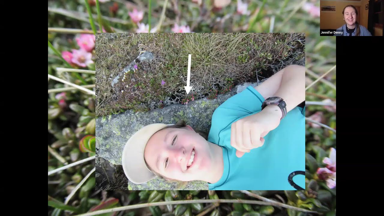 IN THE ADIRONDACK LIBRARY: Calculated Risk, by Jennifer Denny