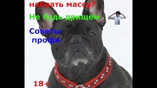 Как набрать массу Как набрать массу