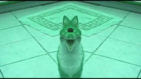 The Shortest Video on YouTube Effects