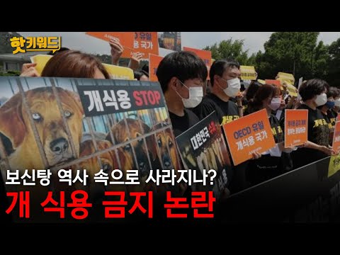 [박하윤 아나운서] 개 식용 금지 논란