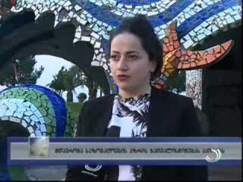 რა ბედი ელის \"რვაფეხას\"? - მთავრობა ხალხის აზრის გათვალისწინებას აპირებს