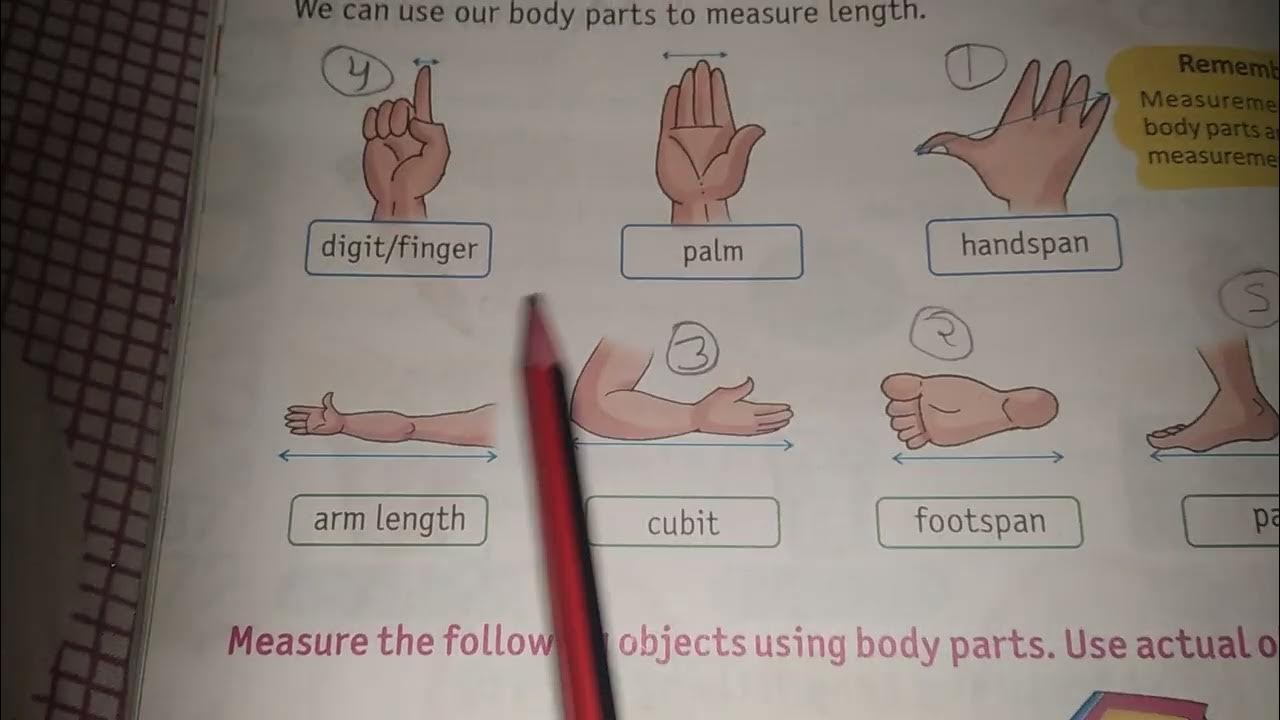 Non Standard Measurement Using Body Parts