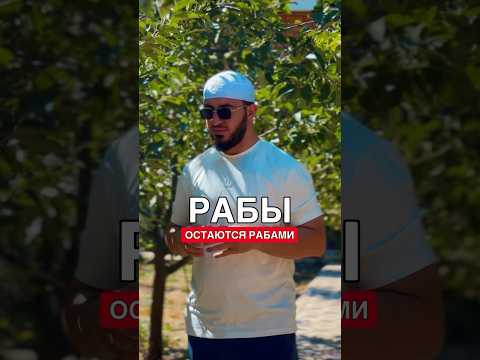 Честь - это всё! 🤨 #честь #рек #рабы #youtubeshorts #брат #мужчина #женщина #топ #видео
