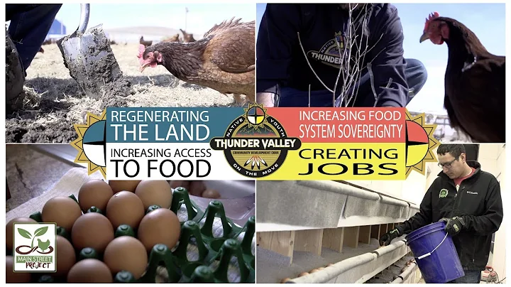 Poultry-Centered Regenerative Agriculture at Thunder Valley CDC
