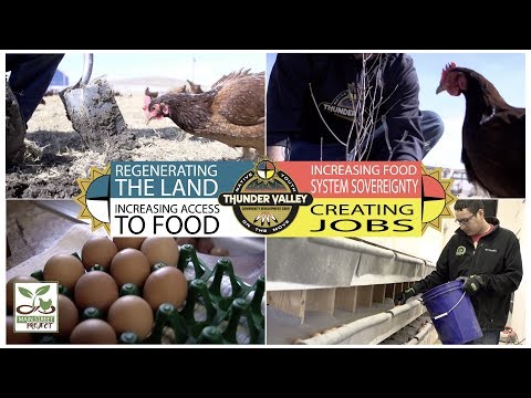 Poultry-Centered Regenerative Agriculture at Thunder Valley CDC