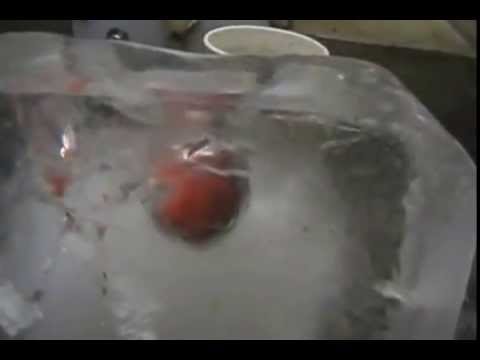 شـوف كيــف يذوب الثلج الله يجيرنا من جهنم