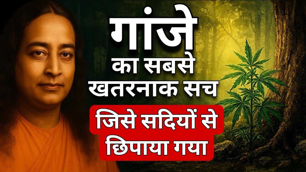 गांजा: सच, झूट, इतिहास और खतरों के पीछे छुपा रहस्य | हजारों साल पुरानी कहानी का असली सच