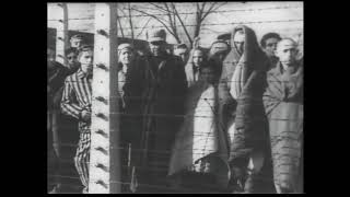 Совесть-пес...