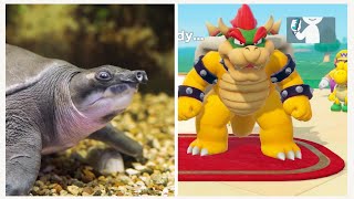 Let's Explore the Wildlife of Mario! | Pixel Zoo | BBC Earth Kids