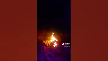 ڨاعد نرجى 