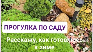 видео: Прогулка по саду в конце Октября🍁 с обзором того, что осталось👌Расскажу, как буду укрывать растения) картинка: Прогулка по саду в конце Октября🍁 с обзором того, что осталось👌Расскажу, как буду укрывать растения)