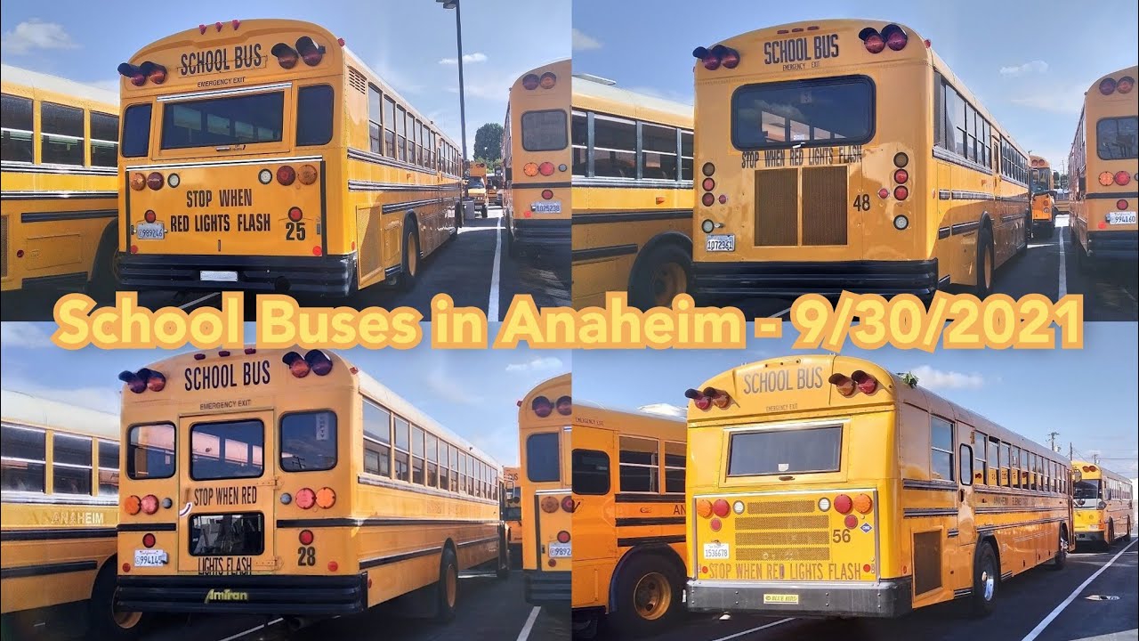 School Buses In Anaheim 9 30 2021 YouTube School Buses In Anaheim 9 30 2021 YouTube