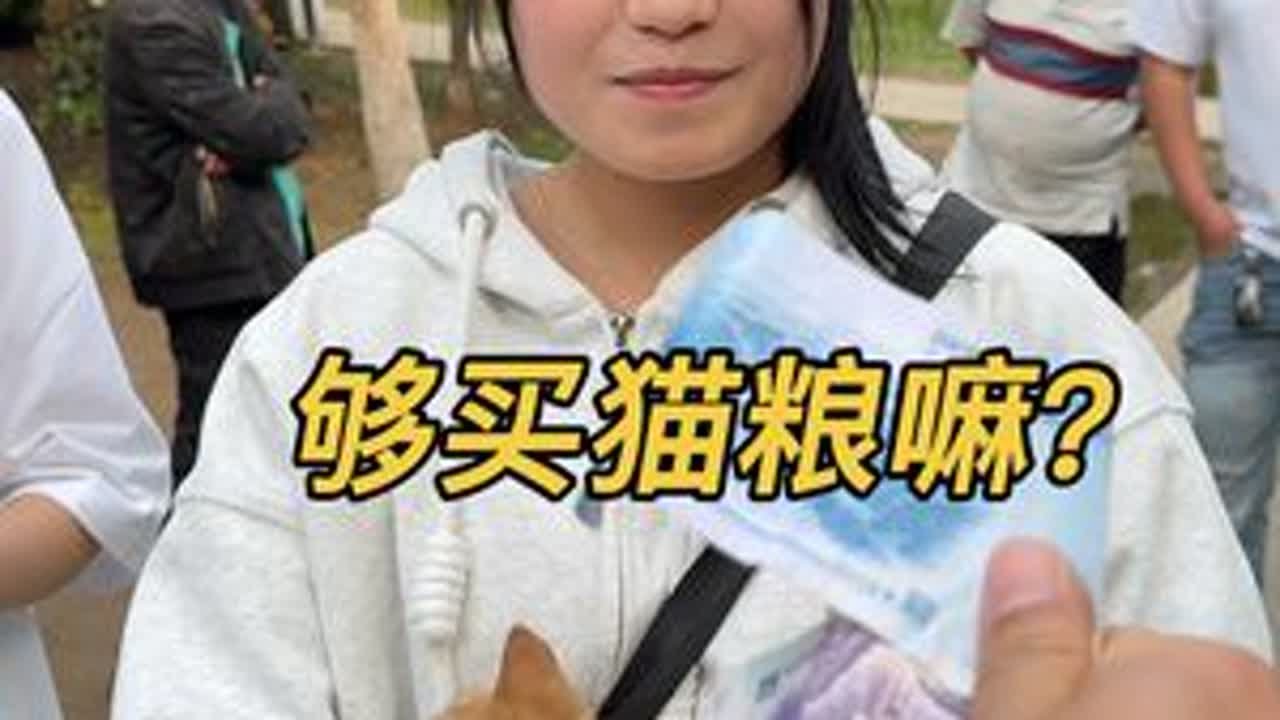 户外唱歌 捡了个猫 热门音乐🔥 人生沒有回头路 唱出了多少人的心声