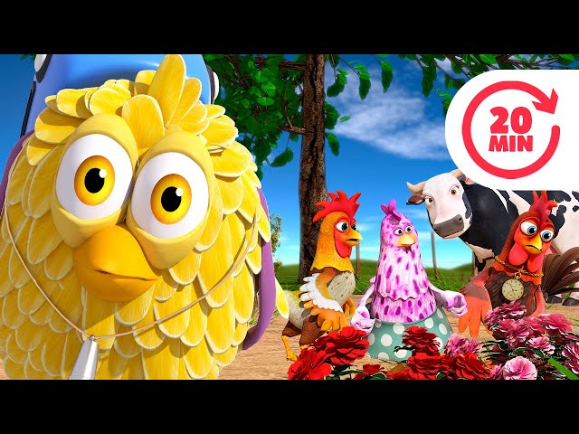 Where is The Baby Chick? and More Kids Songs & Nursery Rhymes class=