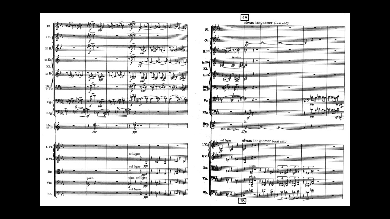 シェーンベルク：室内交響曲op.9〜フィルハーモニア版 シェーンベルク：室内交響曲op.9〜フィルハーモニア版
