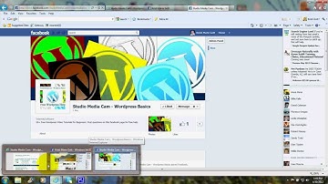 Facebook Fan Page Connected to Wordpress Social Media Icons Tutorial
