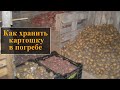 Как хранить картошку в погребе