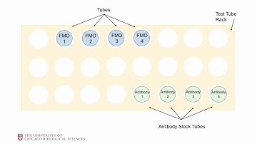 How to Pipette FMO Controls