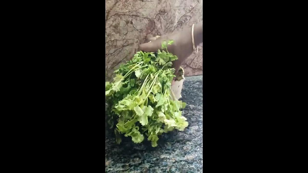 கொத்தமல்லி இலையை குளிர்சாதன பெட்டி இல்லாமல் பாதுகாப்பது எப்படி how_to