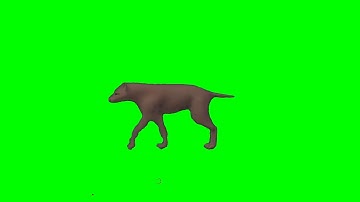 incredibly realistic wolf animation except now it