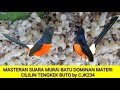 Amunisi Murai Batu Isian Cililin Nyambung Tengkek Buto Mp3 - Mp4 Download