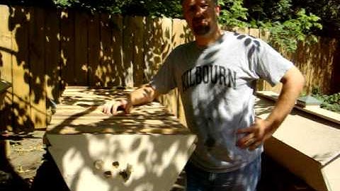 Top Bar Hive Introduction