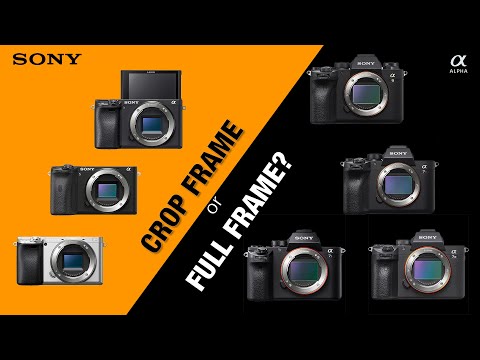 Khám Phá Sự Khác Nhau Giữa Máy Ảnh Full-Frame và Máy Ảnh Crop-Frame.
