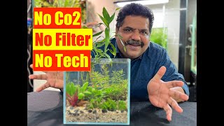 How to make No Filter, No Co2, Low Tech | Natural Aquarium | Mayur Dev Aquascaper  4K