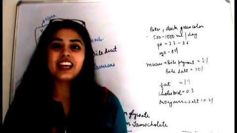 Csir Net Life Science Lectures Module Wise Chapter One Part  Twenty | The Digestive System Part 5 |