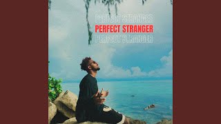 PERFECT STRANGER