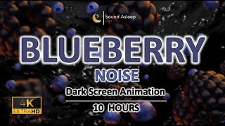 Blueberry Noise | 10 Hour | Dark Screen Animation | Study, Sleep, Tinnitus Relief and Focus