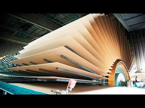 The Amazing Sawmill And MDF Manufacturing Process