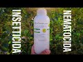Olio di Neem solubile | Insetticida e Nematocida naturale