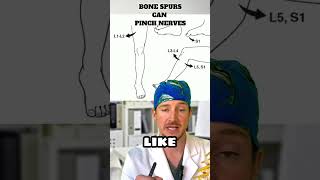 𝐉𝐨𝐢𝐧𝐭 𝐀𝐫𝐭𝐡𝐫𝐢𝐭𝐢𝐬 𝐀𝐧𝐝 𝐁𝐨𝐧𝐞 𝐒𝐩𝐮𝐫𝐬