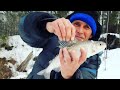 Харюзинный дуплет 🎣🎣🎣🎣
